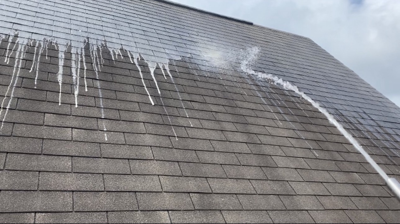 Roof cleaning