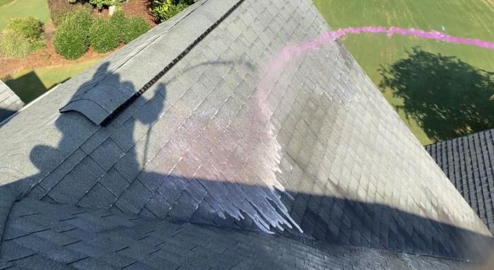 Roof cleaning