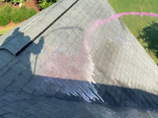 Roof Cleaning